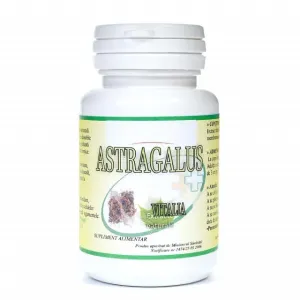 Astragalus,