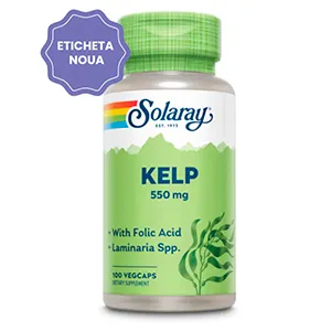 Kelp