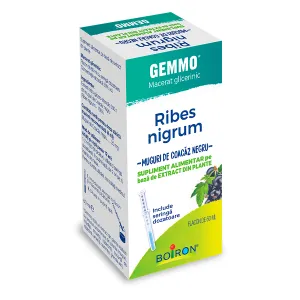 Ribes
